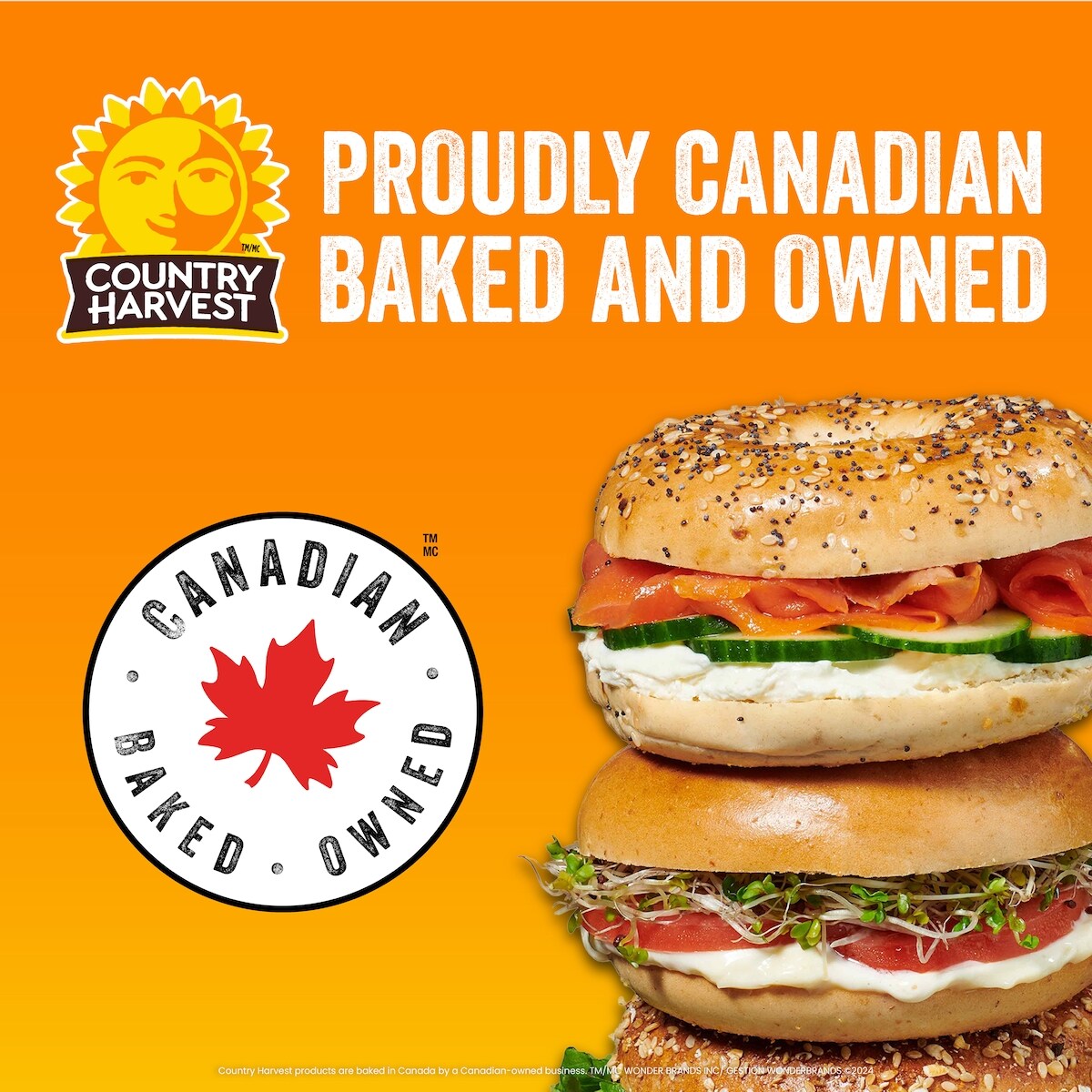 Country Harvest Original Bagels, 6 Pack, 450 g
