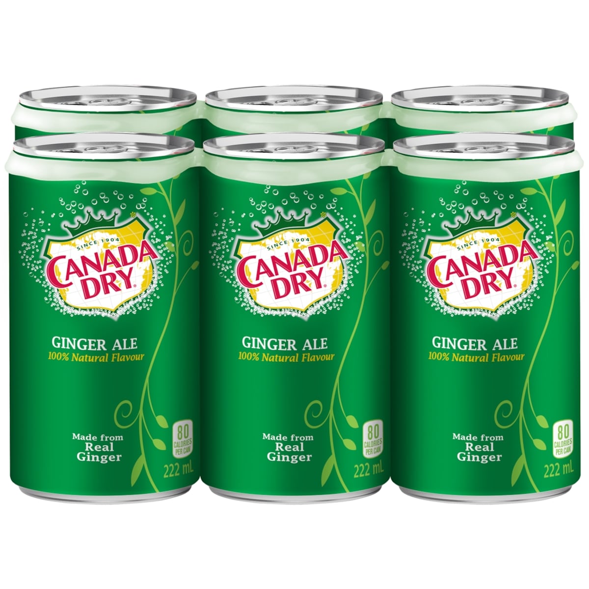 Canada Dry Ginger Ale, 6 × 222 mL