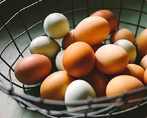 Dairy & Eggs