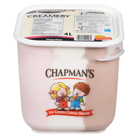 Chapmans Neopolitan 4 Lt Pail