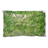 Baby Spinach 454g