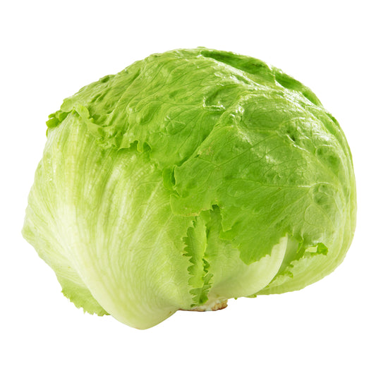 Iceberg Lettuce Pack of 24 or 30