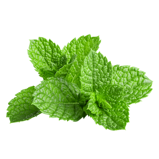Mint (3 bunches)