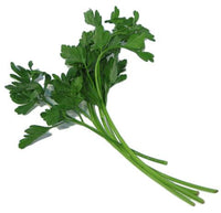 Italian Parsley