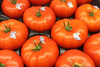 Hot House Tomatoes 1Kg