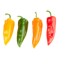 Mini Pointed Peppers 1.36Kg