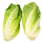 Romaine Hearts Pack of 6 x 1.36Kg