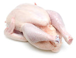 Fresh Whole Chicken 1.616 Kg