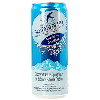 San Benedetto Carbonated Water 24 x 330 mL