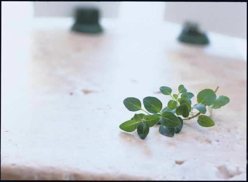Spice Oregano Leaves 12x190g