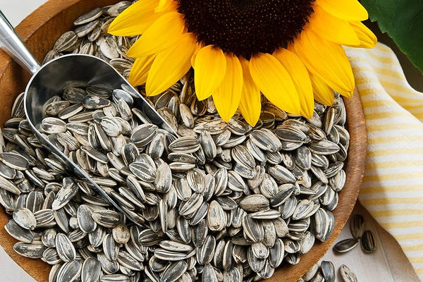 Salted Sunflower Seeds In Shell 400g