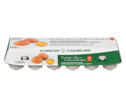 President's Choice Free Run Brown Eggs Large 1.392 Kg