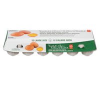 President's Choice Free Run Brown Eggs Large 1.392 Kg