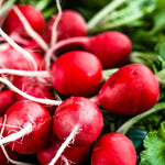 Radishes 454g