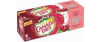 Canada Dry Cranberry Ginger Flavoured Soft Drink 12x355