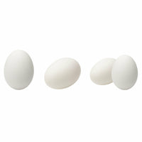 Extra-Large Eggs
