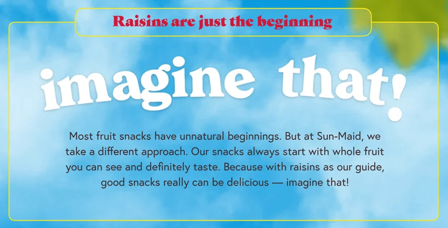 Sun-Maid Mini Snackpack Raisins, 14 Pack, 196 g