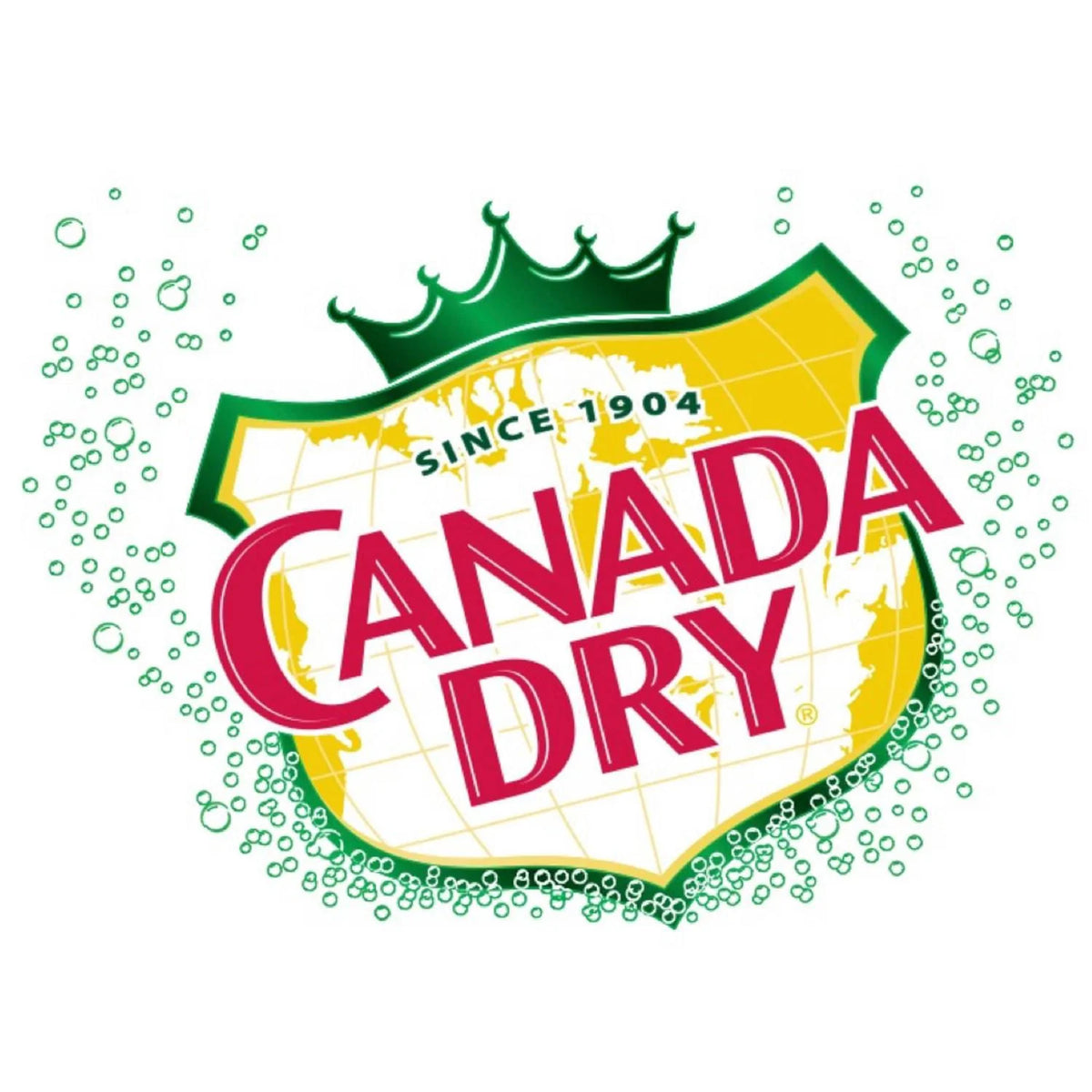 Canada Dry Ginger Ale Bottles, 8 × 300 mL
