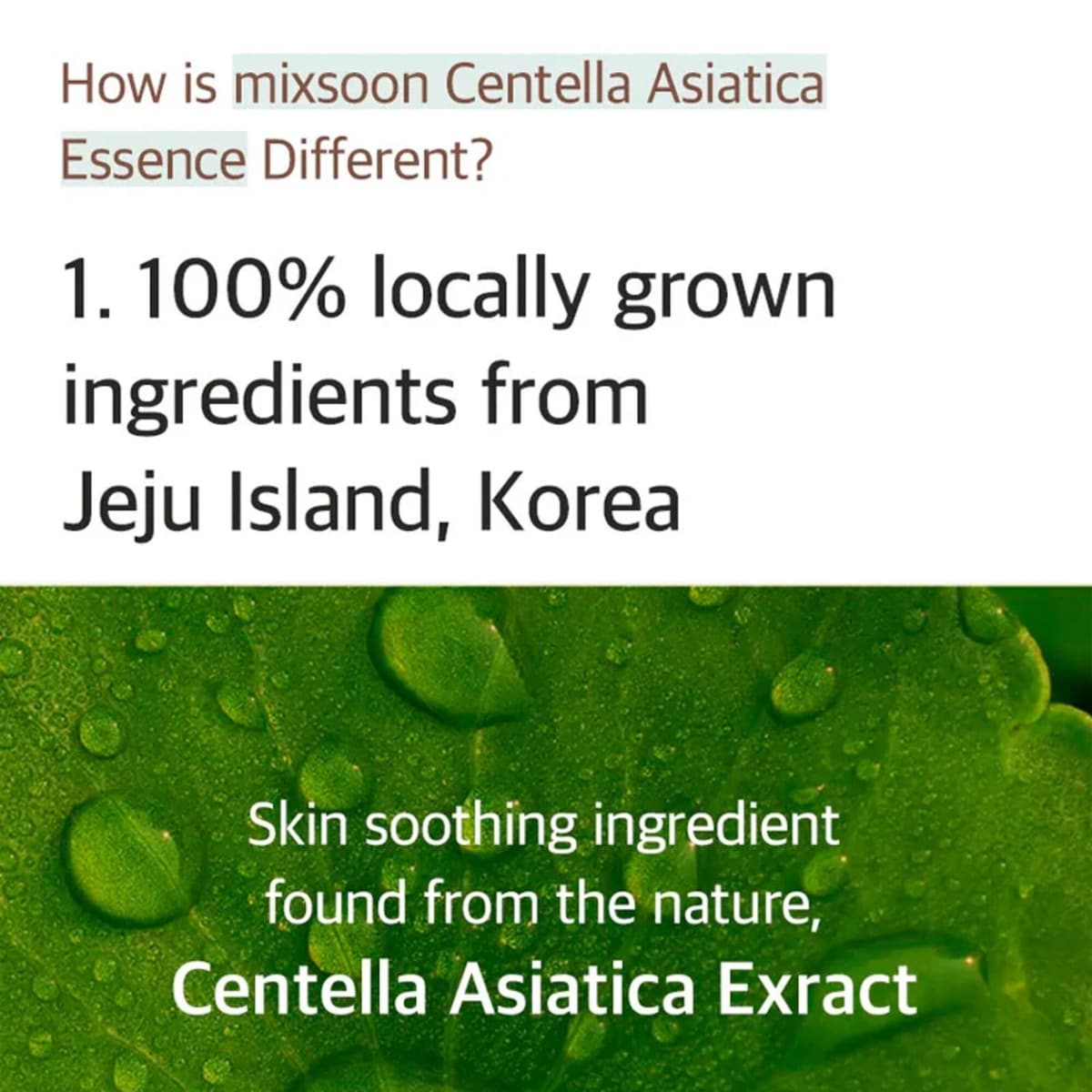 mixsoon Soondy Centella Asiatica Essence