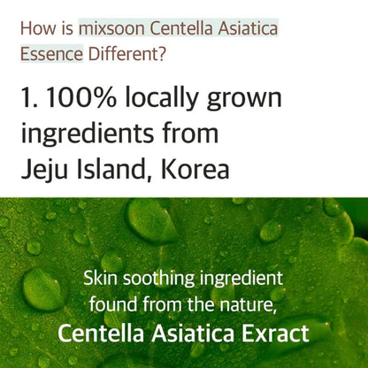 mixsoon Soondy Centella Asiatica Essence