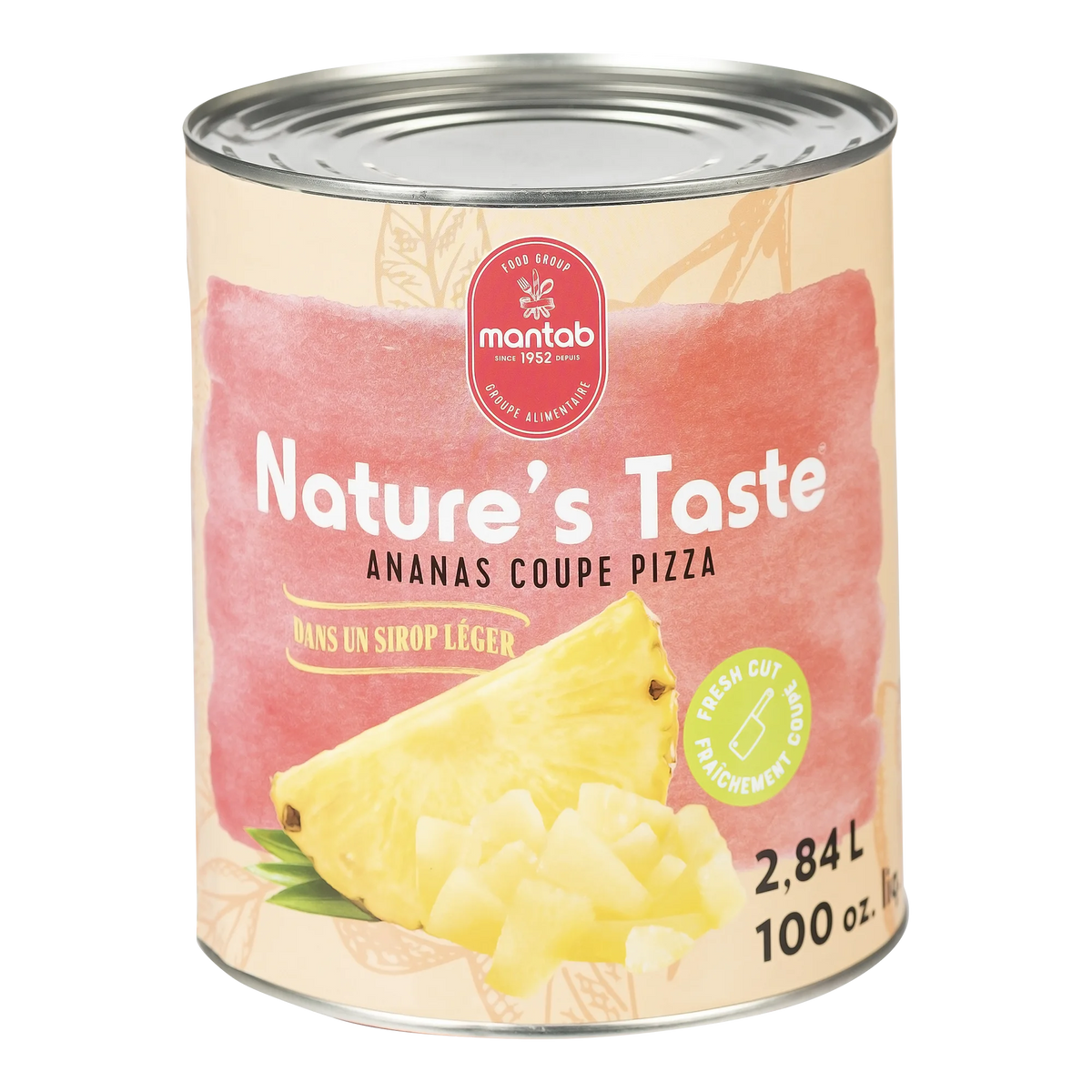 Nature's Taste Pineapple Pizza Cut in Light Syrup, 2.84 L