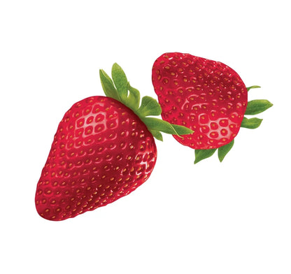 TWIZZLERS Strawberry Twists Candy, 454 g