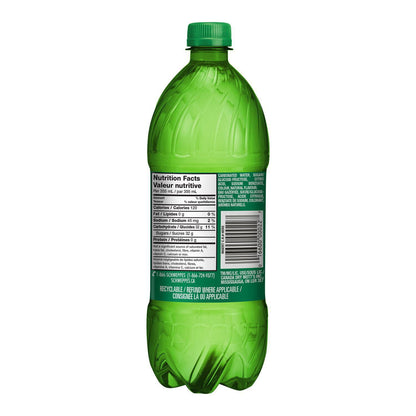 Schweppes Ginger Ale Bottle, 1 L