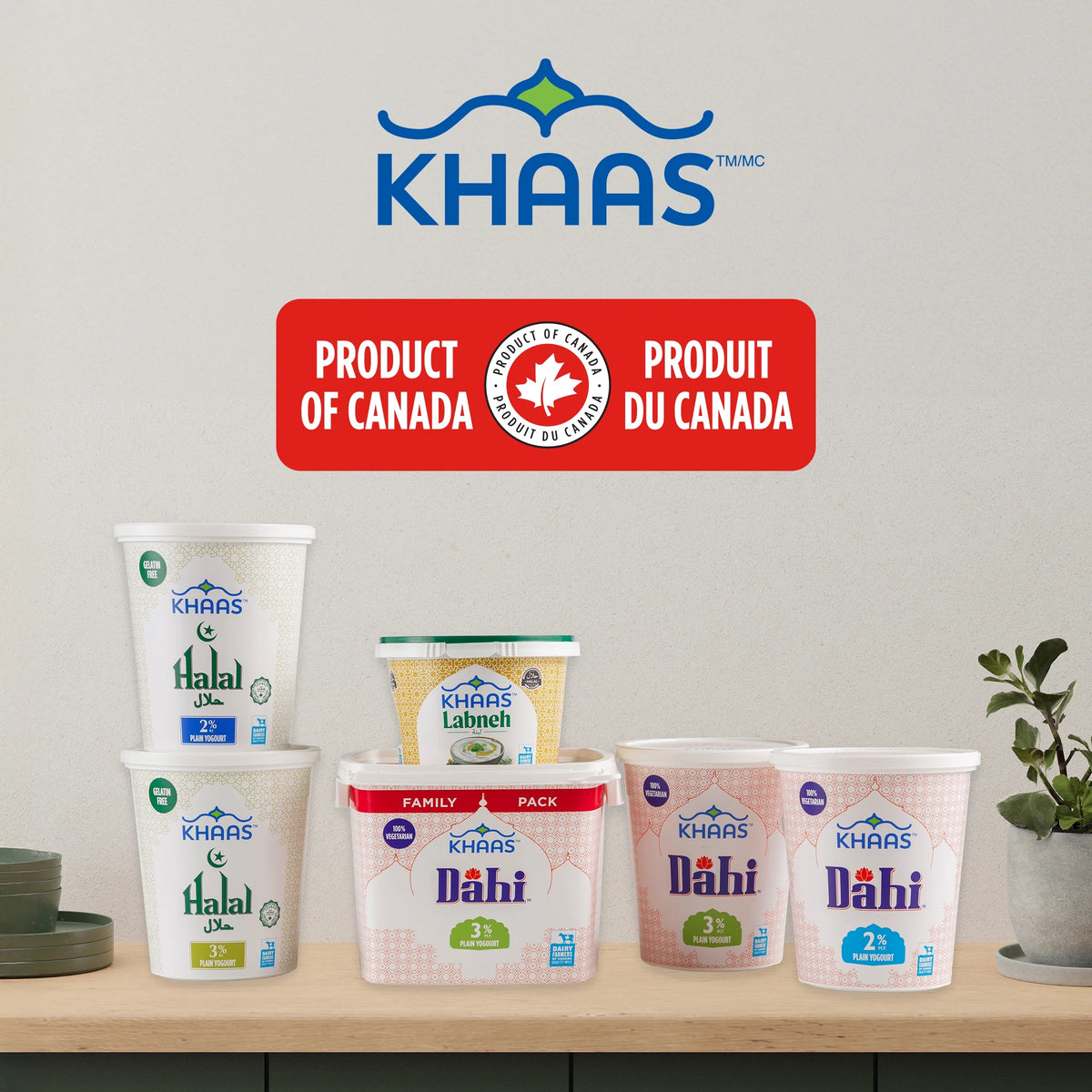 Khaas Dahi 2% Plain Yogurt, 750 g