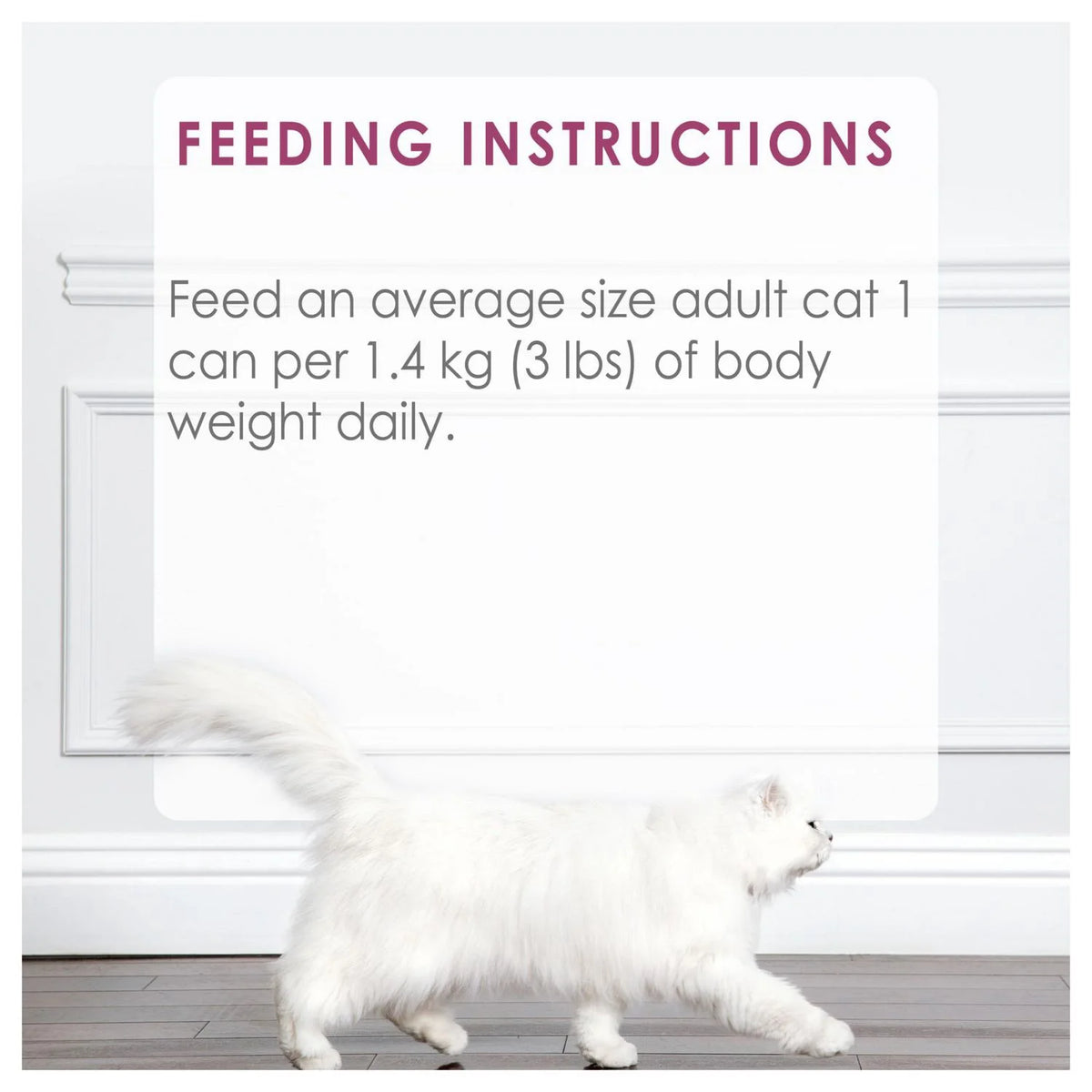 Fancy Feast Grilled Chicken Feast in Gravy Wet Cat Food, 85 g