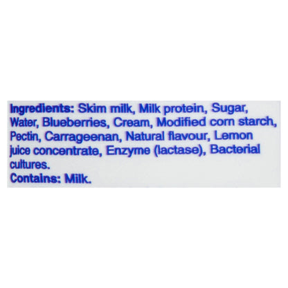 Astro Smooth 'n Fruity Blueberry Yogourt, 650 g