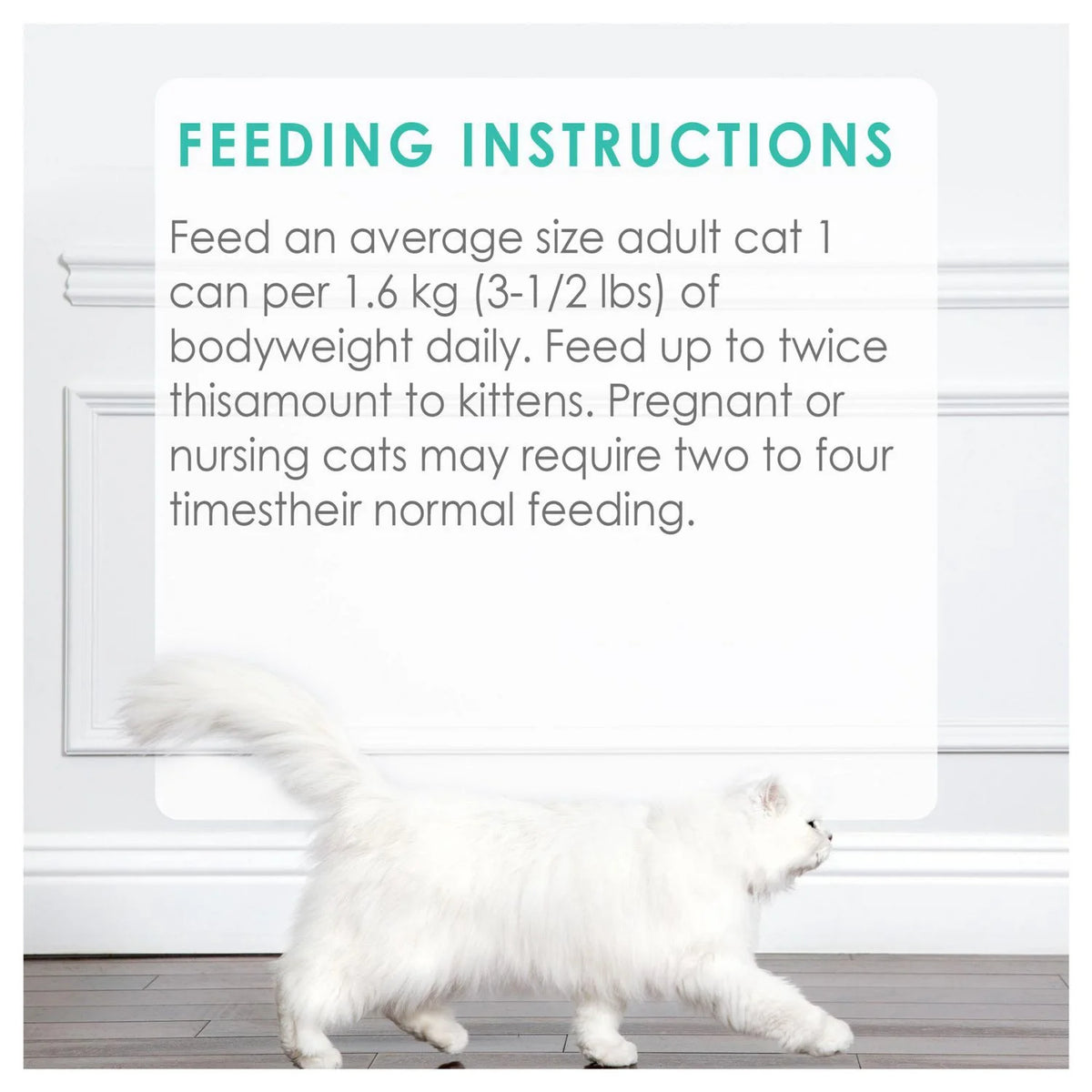 Fancy Feast Pate Salmon Wet Cat Food, 85 g