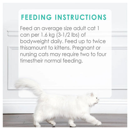 Fancy Feast Pate Salmon Wet Cat Food, 85 g
