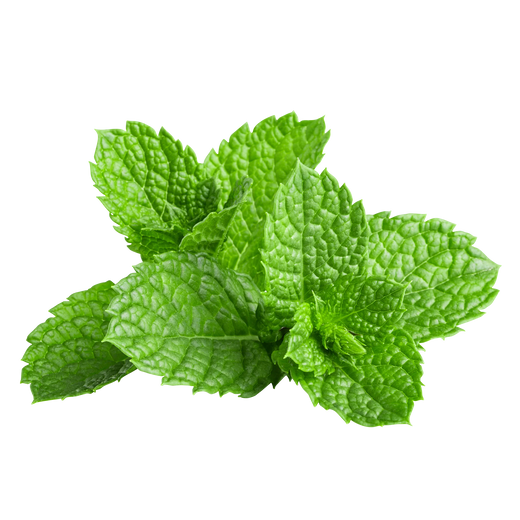 Mint, 3 bunches