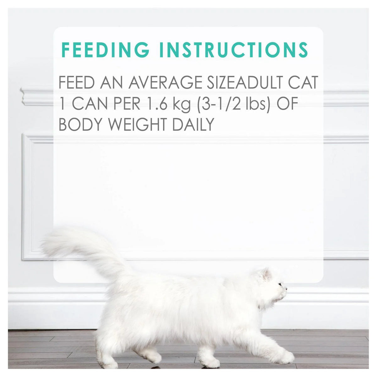 Fancy Feast Pate Beef Wet Cat Food, 85 g