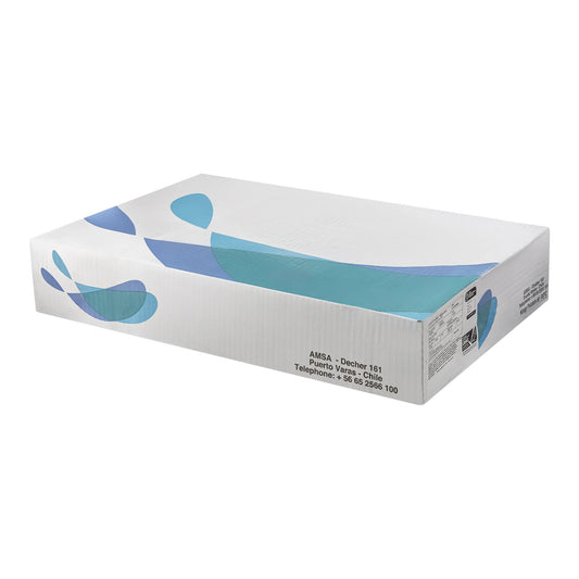 Blue Tide Atlantic Frozen Salmon Fillets Skin On, 10 kg
