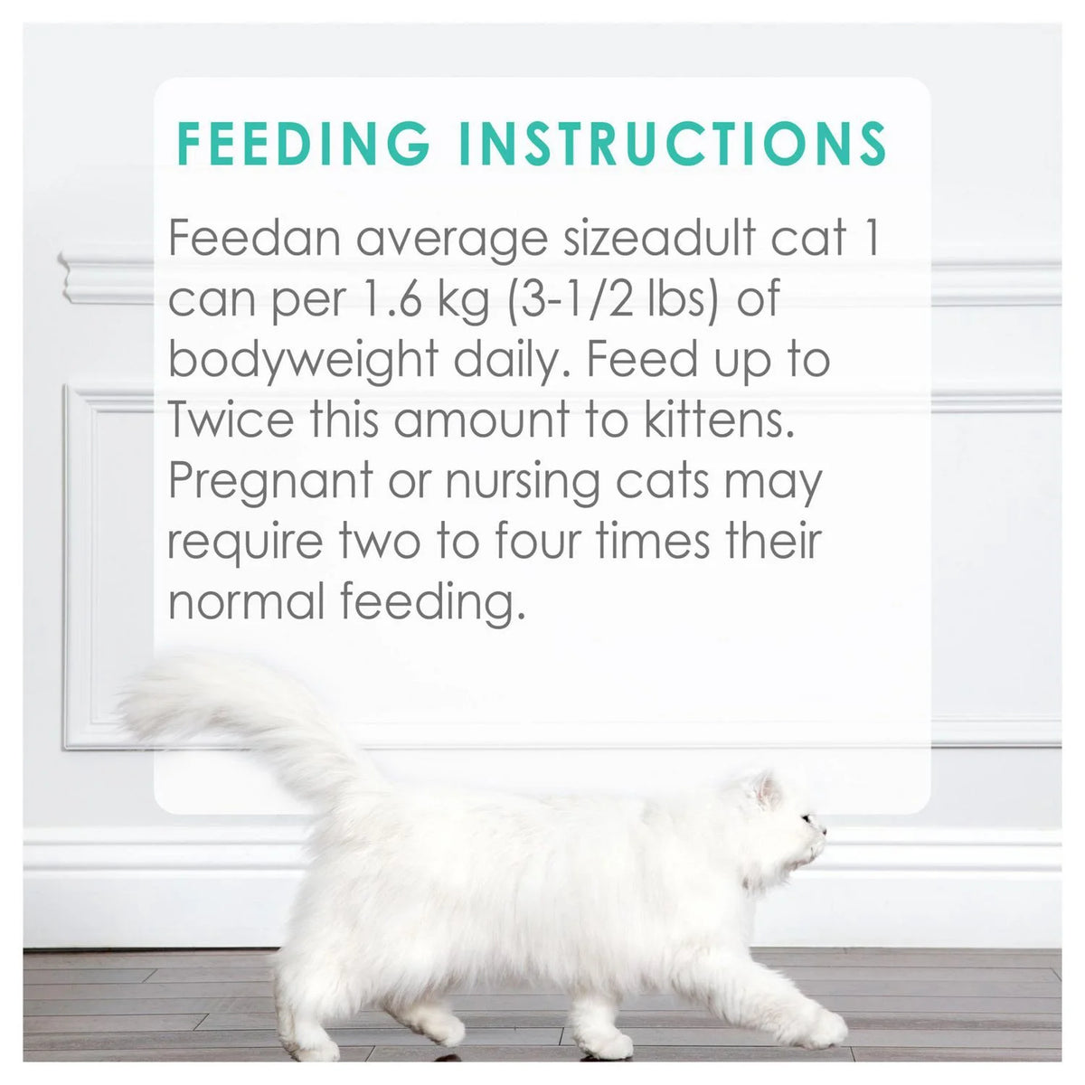 Fancy Feast Pate Ocean Whitefish & Tuna Wet Cat Food, 85 g
