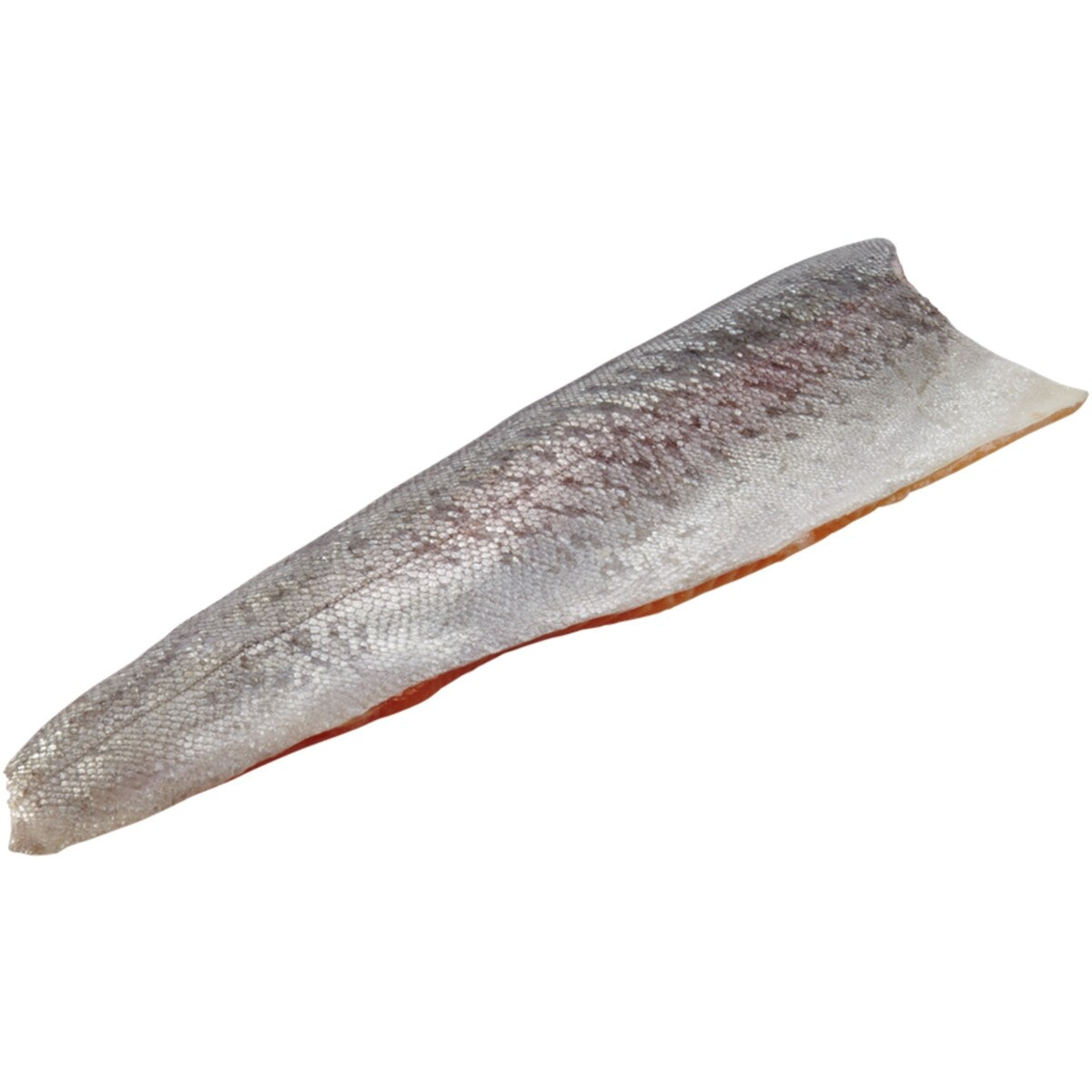 Rainbow Trout Fillets, Boneless, Packaged