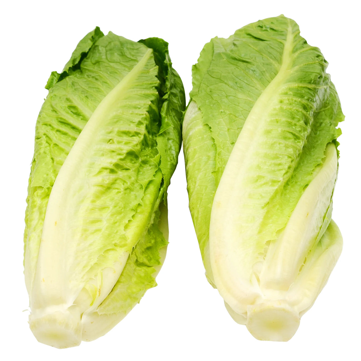 Romaine Hearts, 6 count