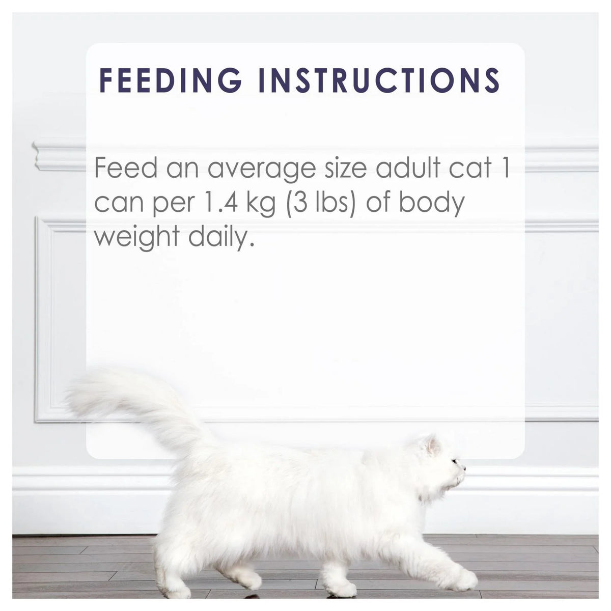 Fancy Feast Grilled Turkey Feast in Gravy Wet Cat Food, 85 g