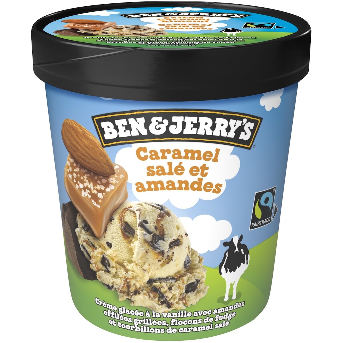Ben & Jerry's Salted Caramel Almond Ice Cream, 473 mL