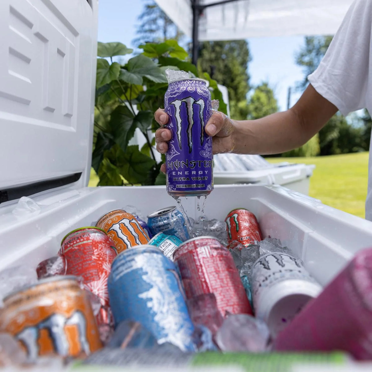 Monster Energy Ultra Violet Grape Energy Drink Can, 473 mL