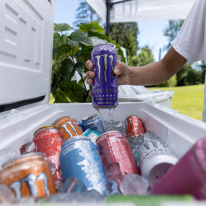 Monster Energy Ultra Violet Grape Energy Drink Can, 473 mL