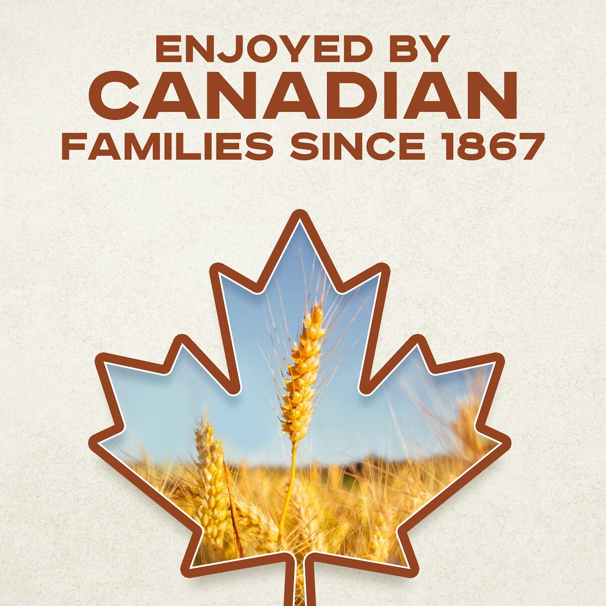 Catelli Whole Grains Spaghetti Pasta, 375 g