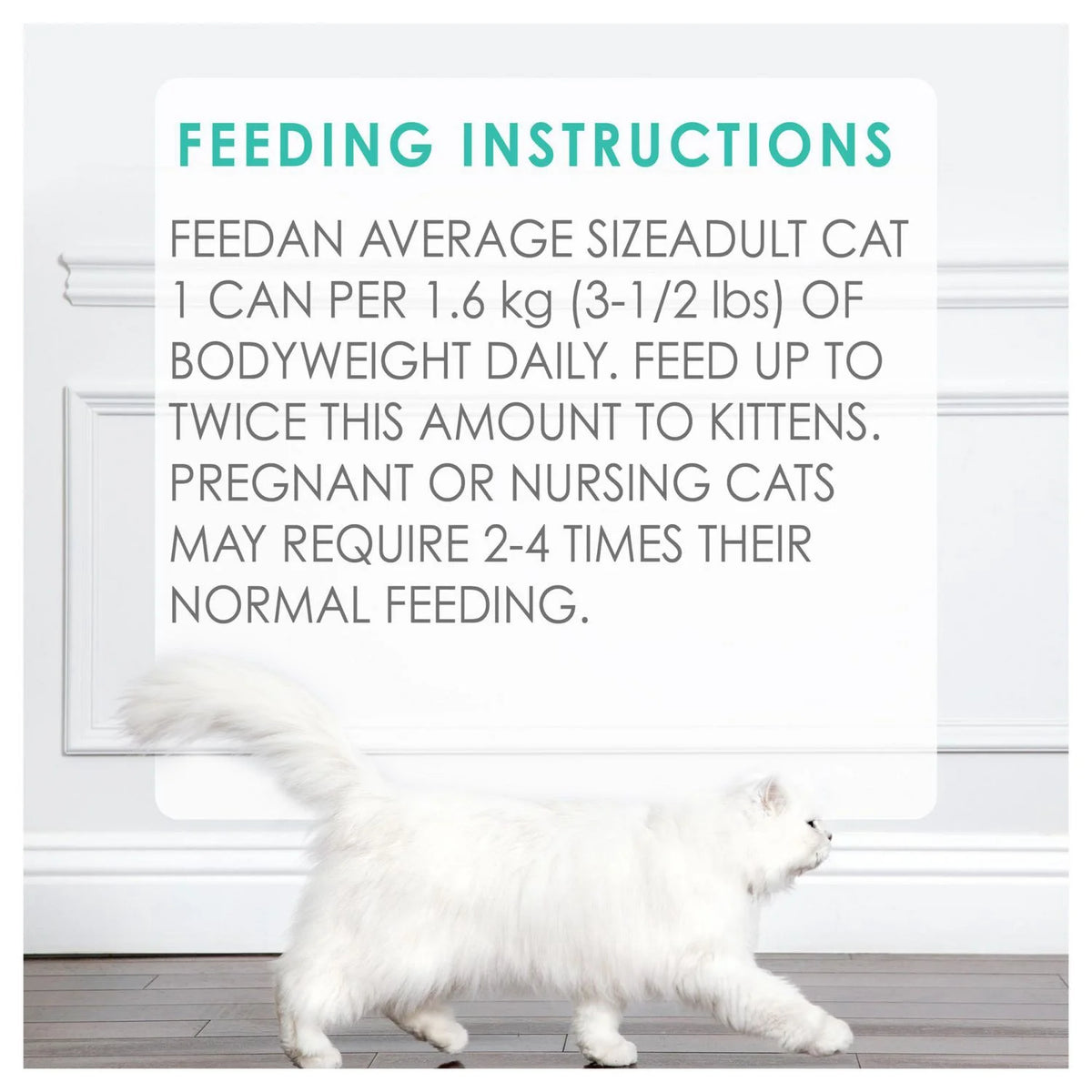 Fancy Feast Pate Tender Liver & Chicken Wet Cat Food, 85 g