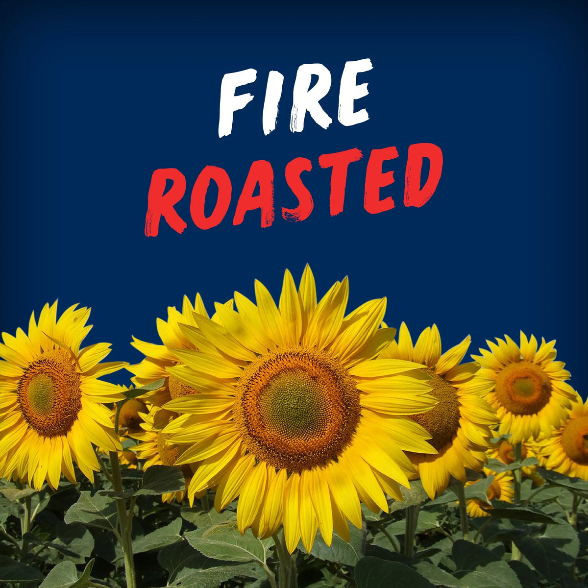 BiGS Salted & Roasted Original Sunflower Seeds, 140 g