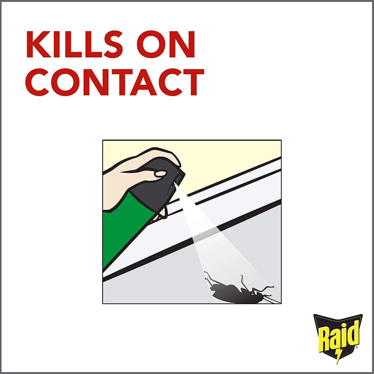 Raid Home Insect Killer, 350 g