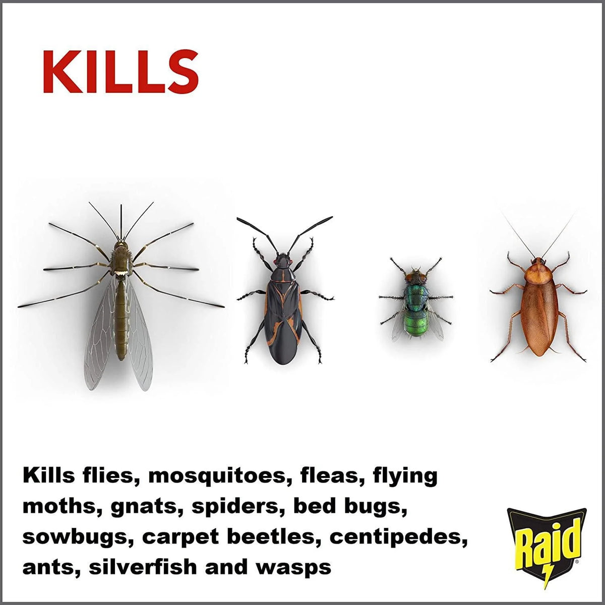 Raid Home Insect Killer, 350 g