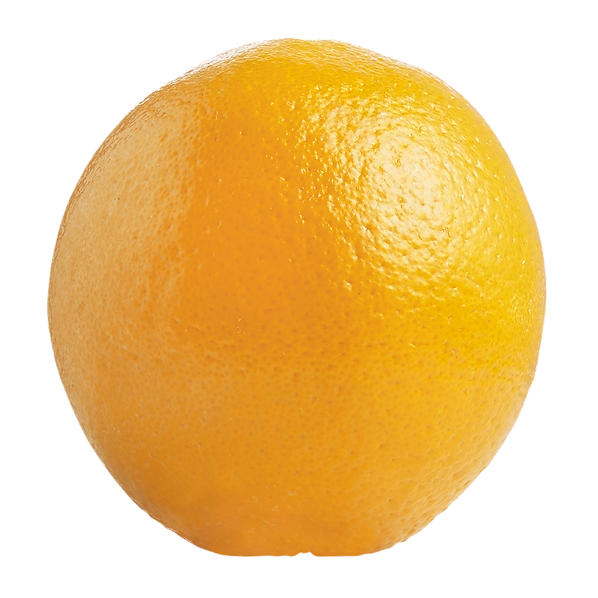 Large Navel Orange