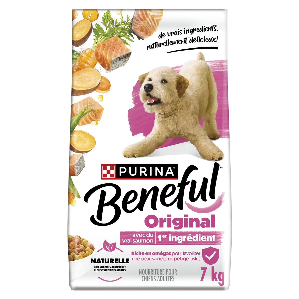 Beneful Originals with Real Salmon Dry Dog Food, 7 kg