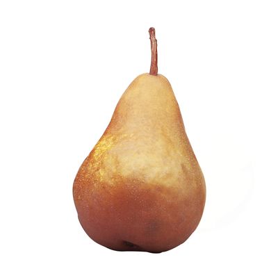 Bosc Pear, Approx. 170 g Each